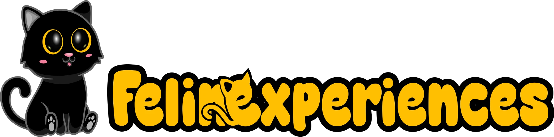 Felinexperiences