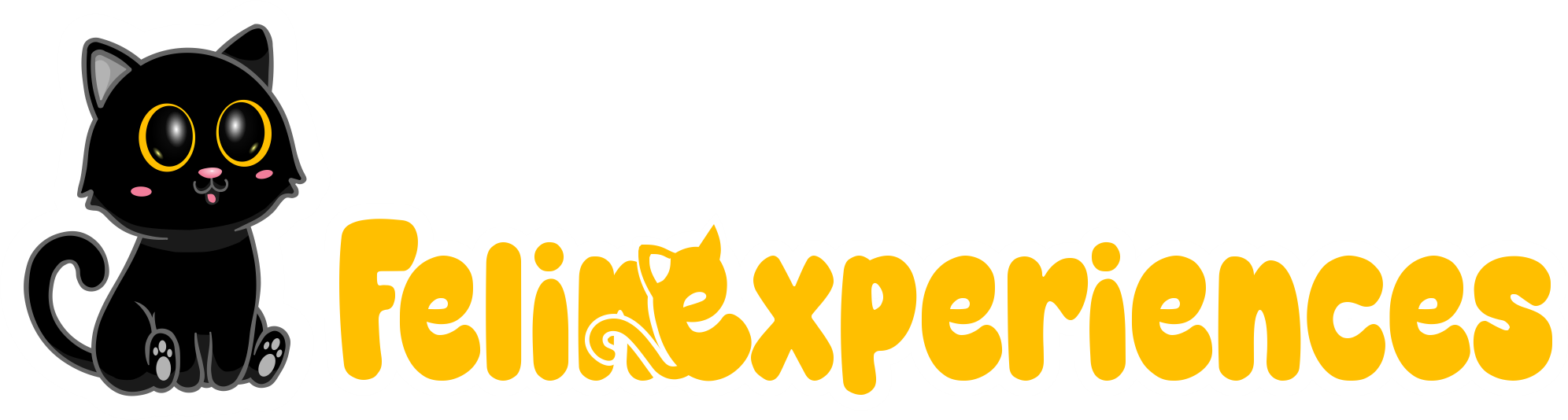 Felinexperiences