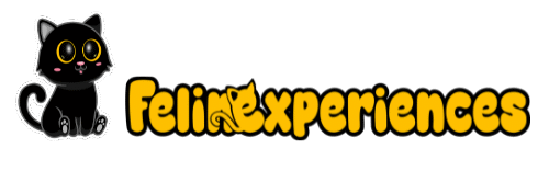Felinexperiences